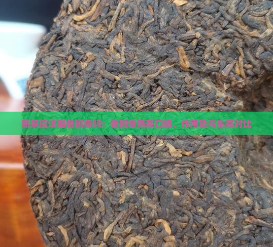 熟茶应该喝老班章吗：老班章熟茶口感、作用及与生茶对比