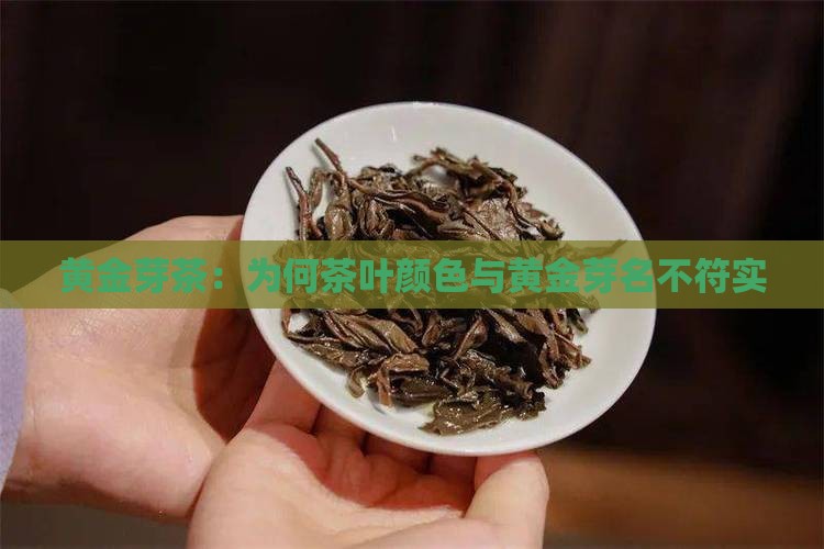 黄金芽茶：为何茶叶颜色与黄金芽名不符实