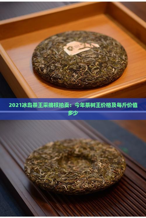 2021冰岛茶王采摘权拍卖：今年茶树王价格及每斤价值多少