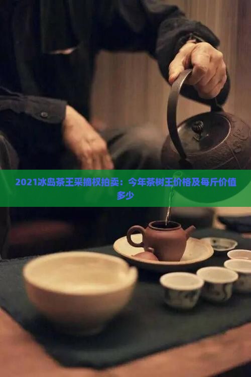 2021冰岛茶王采摘权拍卖：今年茶树王价格及每斤价值多少