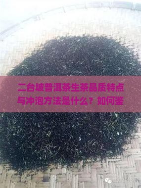 二台坡普洱茶生茶品质特点与冲泡方法是什么？如何鉴别真伪及存储技巧？