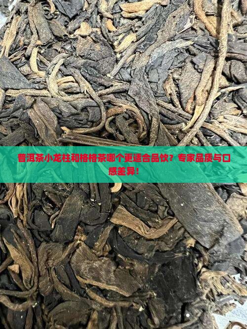 普洱茶小龙柱和格格茶哪个更适合品饮？专家品质与口感差异！