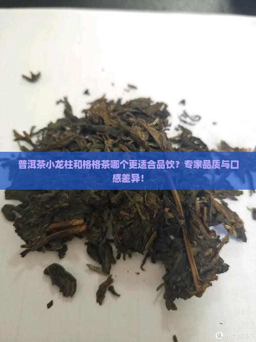 普洱茶小龙柱和格格茶哪个更适合品饮？专家品质与口感差异！