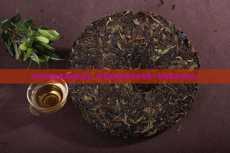 泰州市湿仓普洱茶的品质、价格及存放技巧有哪些？如何鉴别与选购？
