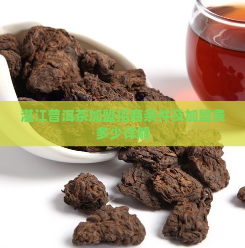 湛江普洱茶加盟招商条件及加盟费多少详解