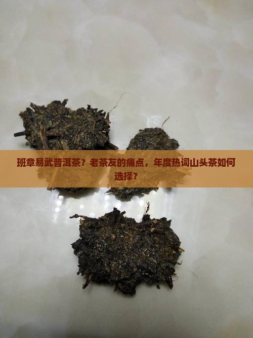 班章易武普洱茶？老茶友的痛点，年度热词山头茶如何选择？