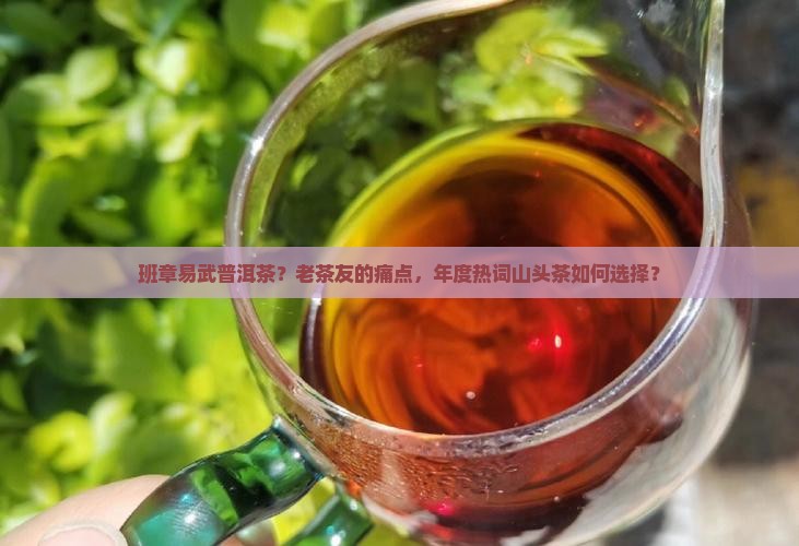 班章易武普洱茶？老茶友的痛点，年度热词山头茶如何选择？