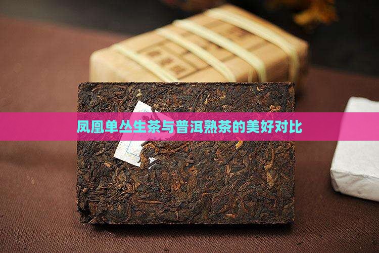 凤凰单丛生茶与普洱熟茶的美好对比
