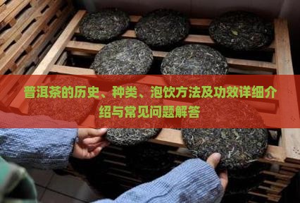 普洱茶的历史、种类、泡饮方法及功效详细介绍与常见问题解答