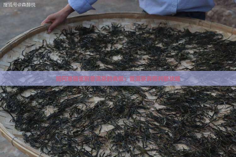如何准确鉴别普洱茶的真假：普洱茶真假判断攻略