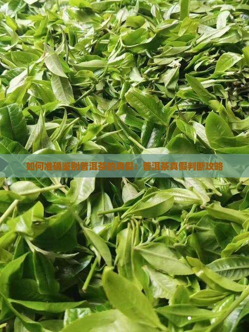 如何准确鉴别普洱茶的真假：普洱茶真假判断攻略