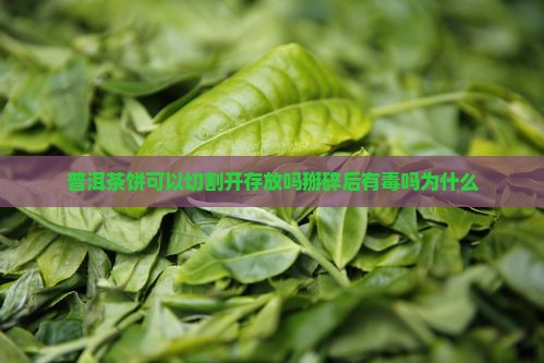 普洱茶饼可以切割开存放吗掰碎后有毒吗为什么