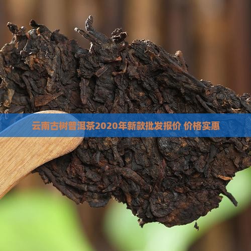 云南古树普洱茶2020年新款批发报价 价格实惠