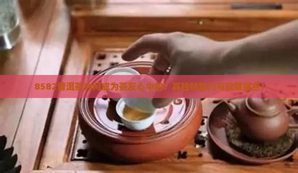 8582普洱茶为何成为茶友心中的？其独特魅力与收藏痛点！
