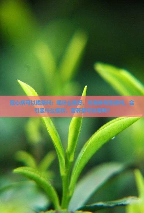 冠心病可以喝茶吗：喝什么茶好，对身体有影响吗，会引起什么症状，苦荞茶可以喝吗？