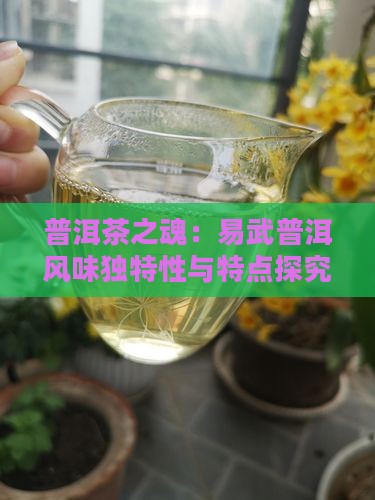 普洱茶之魂：易武普洱风味独特性与特点探究
