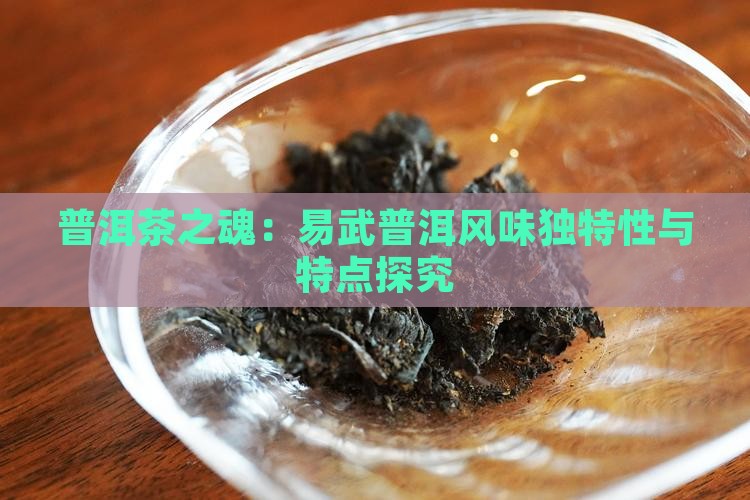 普洱茶之魂：易武普洱风味独特性与特点探究