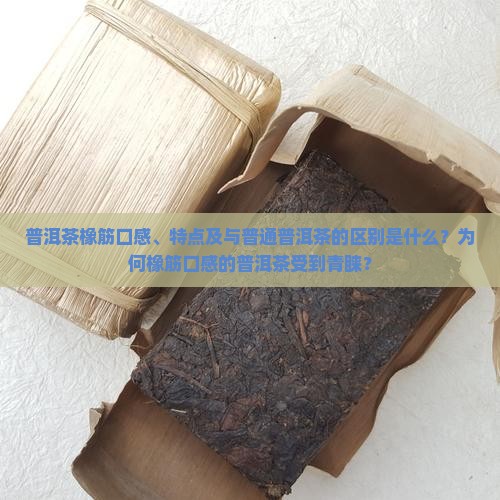 普洱茶橡筋口感、特点及与普通普洱茶的区别是什么？为何橡筋口感的普洱茶受到青睐？