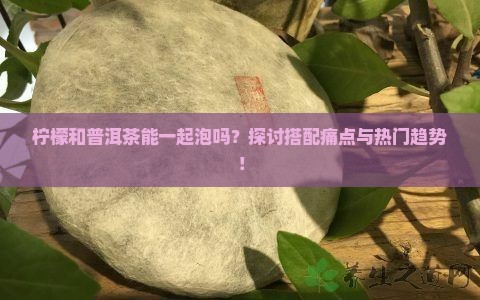 柠檬和普洱茶能一起泡吗？探讨搭配痛点与热门趋势！