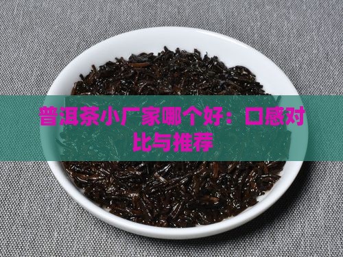普洱茶小厂家哪个好：口感对比与推荐