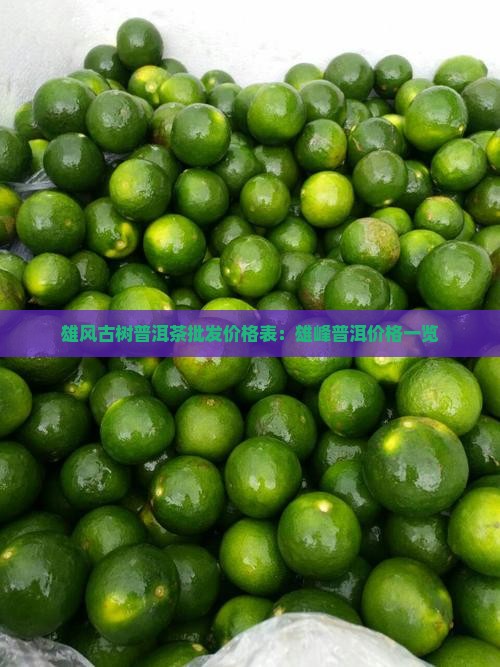雄风古树普洱茶批发价格表：雄峰普洱价格一览