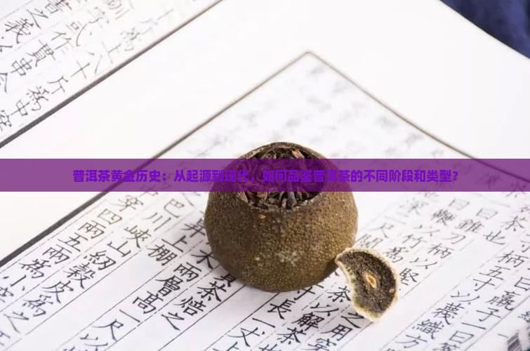 普洱茶黄金历史:从起源到现代,如何品鉴普洱茶的不同阶段和类型? 普洱茶黄金历史:从起源到现代,如何品鉴普洱茶的不同阶段和类型?