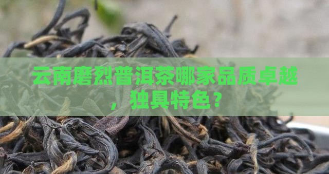 云南磨烈普洱茶哪家品质卓越，独具特色？