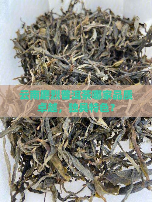 云南磨烈普洱茶哪家品质卓越，独具特色？