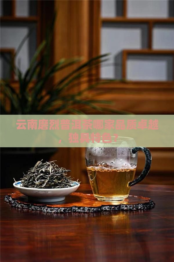云南磨烈普洱茶哪家品质卓越，独具特色？