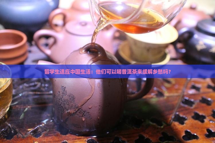 留学生适应中国生活：他们可以喝普洱茶来缓解乡愁吗？