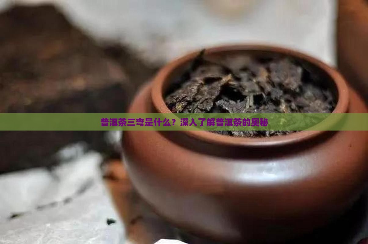 普洱茶三弯是什么？深入了解普洱茶的奥秘