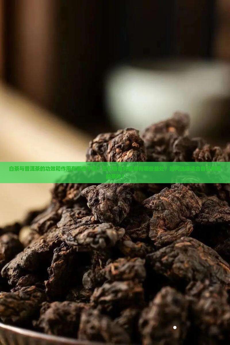白茶与普洱茶的功效和作用有哪些不同？它们各自对健康有哪些益处？如何选择适合自己体质的茶叶？