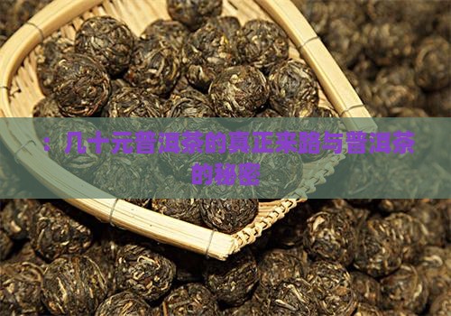 ：几十元普洱茶的真正来路与普洱茶的秘密
