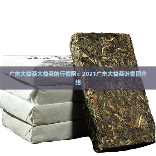 广东大益茶大益茶的行情网：2021广东大益茶叶集团介绍