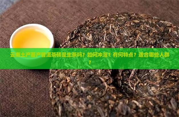 云南土产畜产普洱茶砖是生茶吗？如何冲泡？有何特点？适合哪些人群？