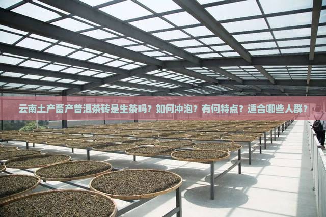 云南土产畜产普洱茶砖是生茶吗？如何冲泡？有何特点？适合哪些人群？