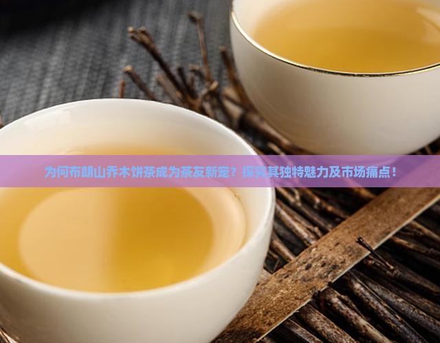 为何布朗山乔木饼茶成为茶友新宠？探究其独特魅力及市场痛点！