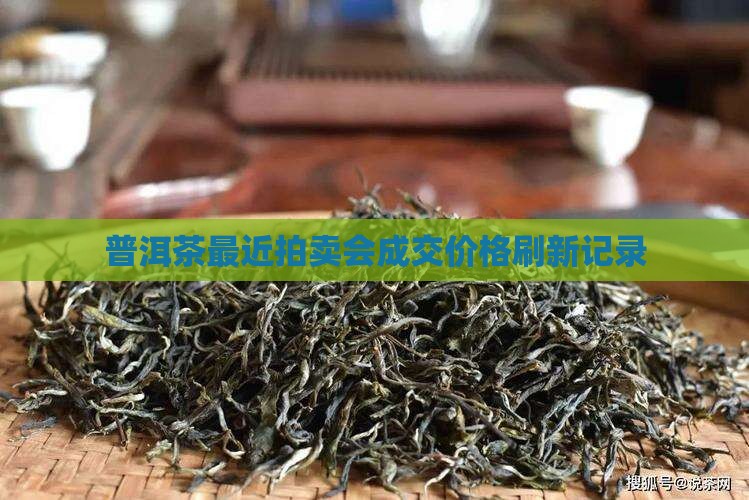 普洱茶最近拍卖会成交价格刷新记录