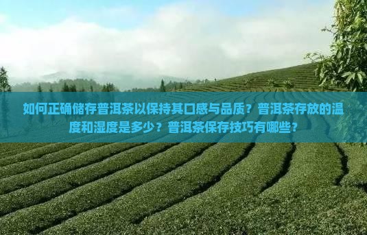如何正确储存普洱茶以保持其口感与品质？普洱茶存放的温度和湿度是多少？普洱茶保存技巧有哪些？