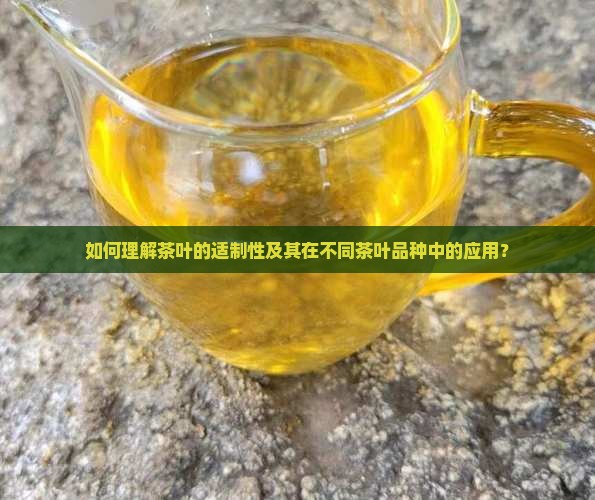 如何理解茶叶的适制性及其在不同茶叶品种中的应用？