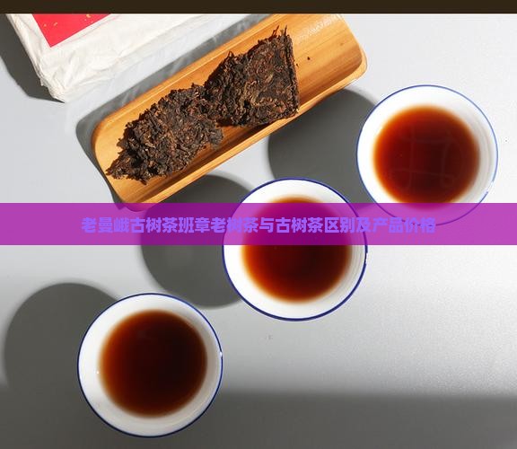 老曼峨古树茶班章老树茶与古树茶区别及产品价格