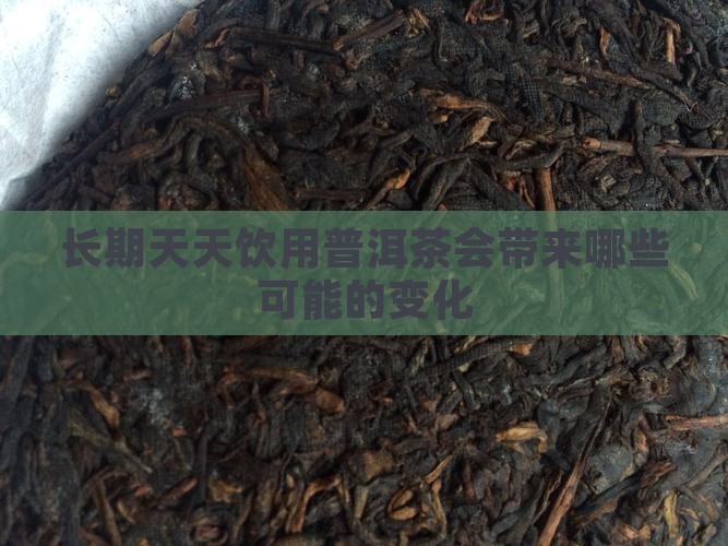 长期天天饮用普洱茶会带来哪些可能的变化