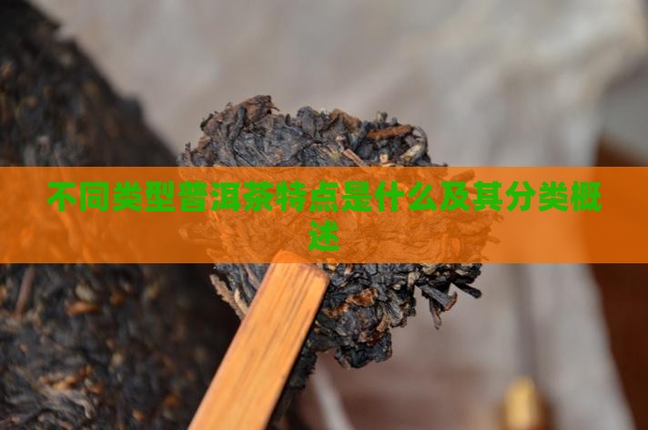 不同类型普洱茶特点是什么及其分类概述