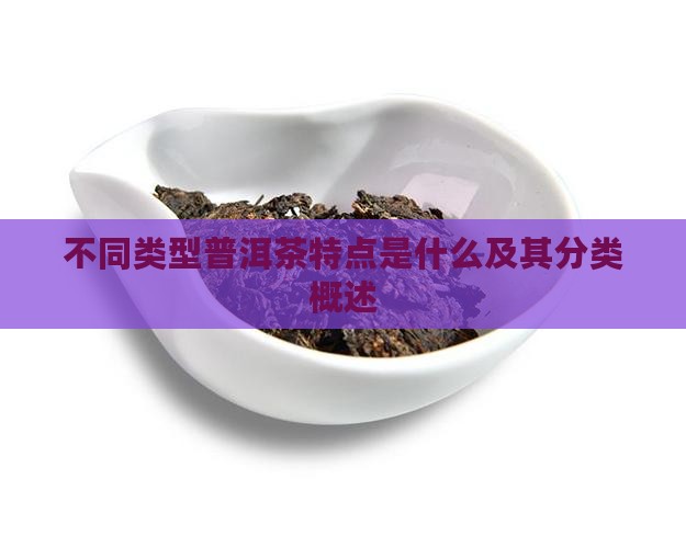 不同类型普洱茶特点是什么及其分类概述