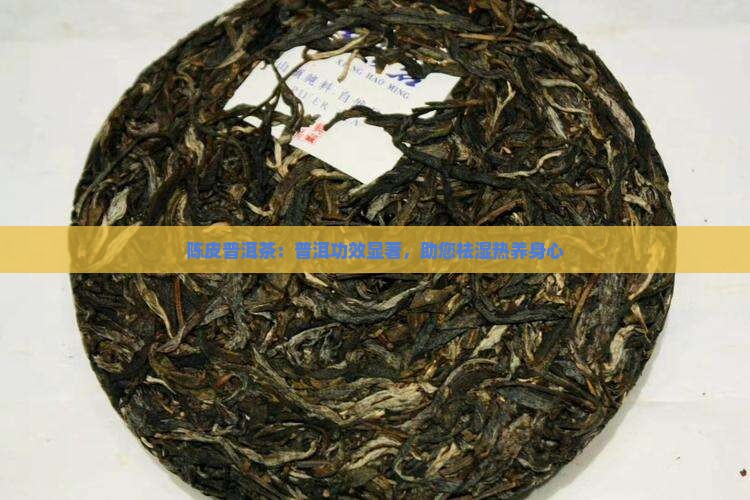 陈皮普洱茶：普洱功效显著，助您祛湿热养身心
