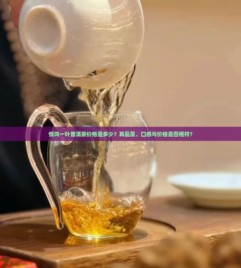 惊鸿一叶普洱茶价格是多少？其品质、口感与价格是否相符？