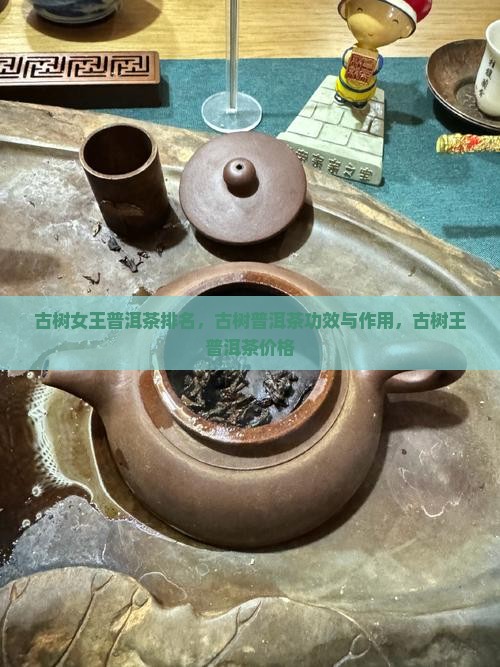 古树女王普洱茶排名，古树普洱茶功效与作用，古树王普洱茶价格