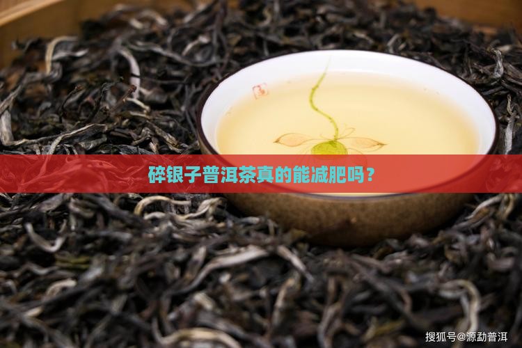 碎银子普洱茶真的能减肥吗？