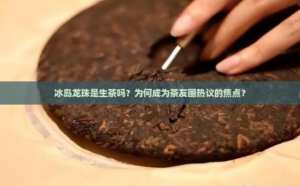 冰岛龙珠是生茶吗？为何成为茶友圈热议的焦点？