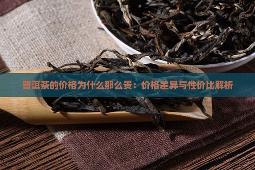 普洱茶的价格为什么那么贵：价格差异与性价比解析